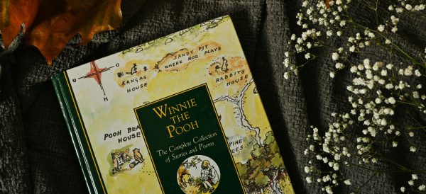 Timo Brandt Über die Wunde in Winnie the&nbsp;Pooh